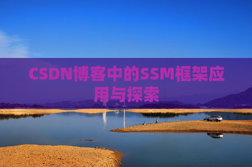 CSDN博客中的SSM框架应用与探索